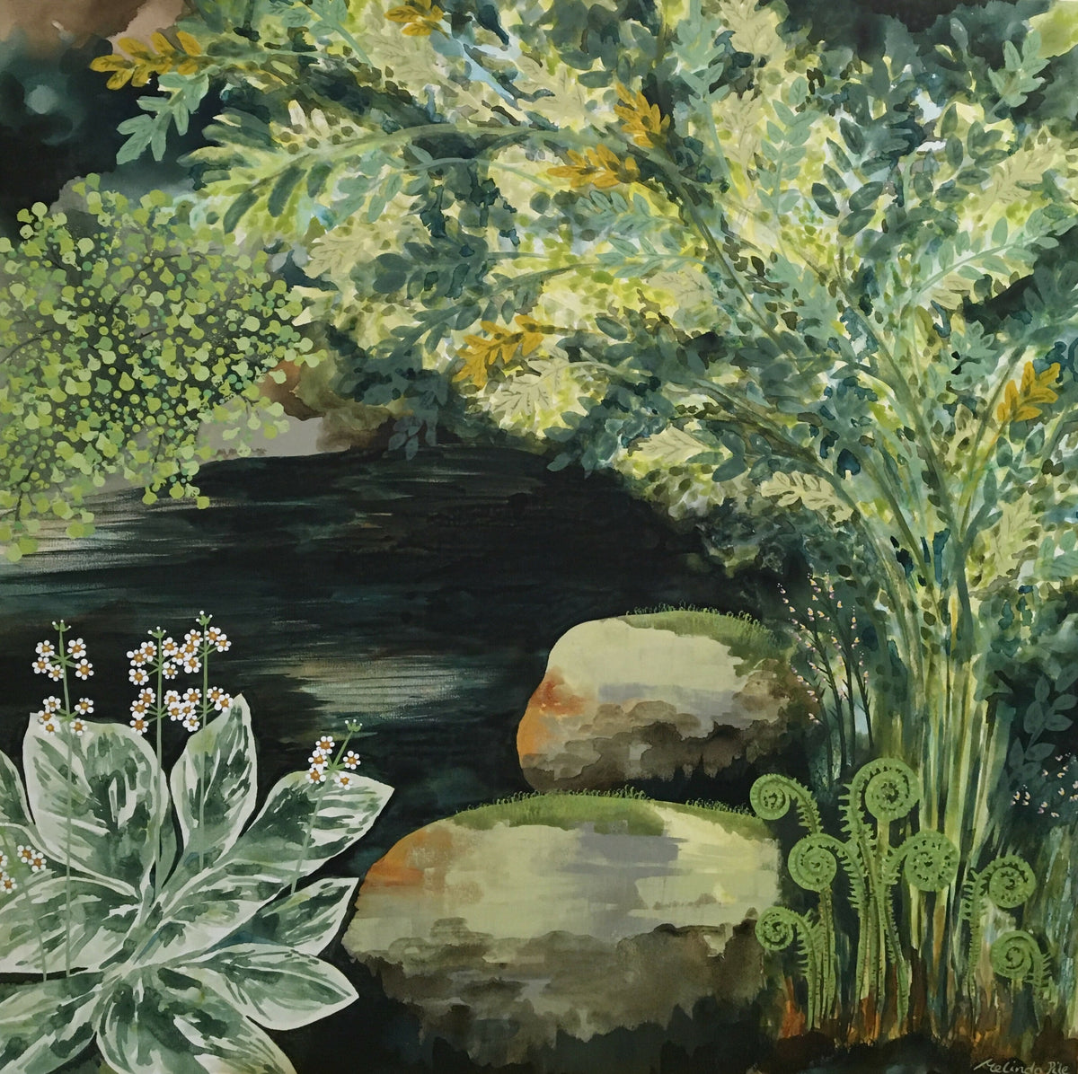 Primulas and ferns by the pond