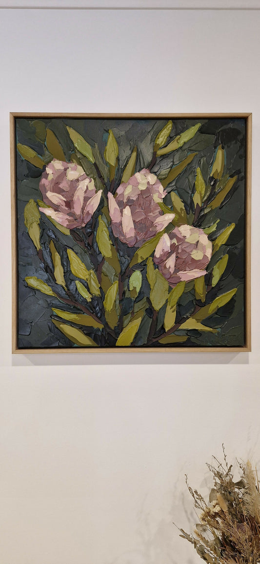 Blushing Native Banksia