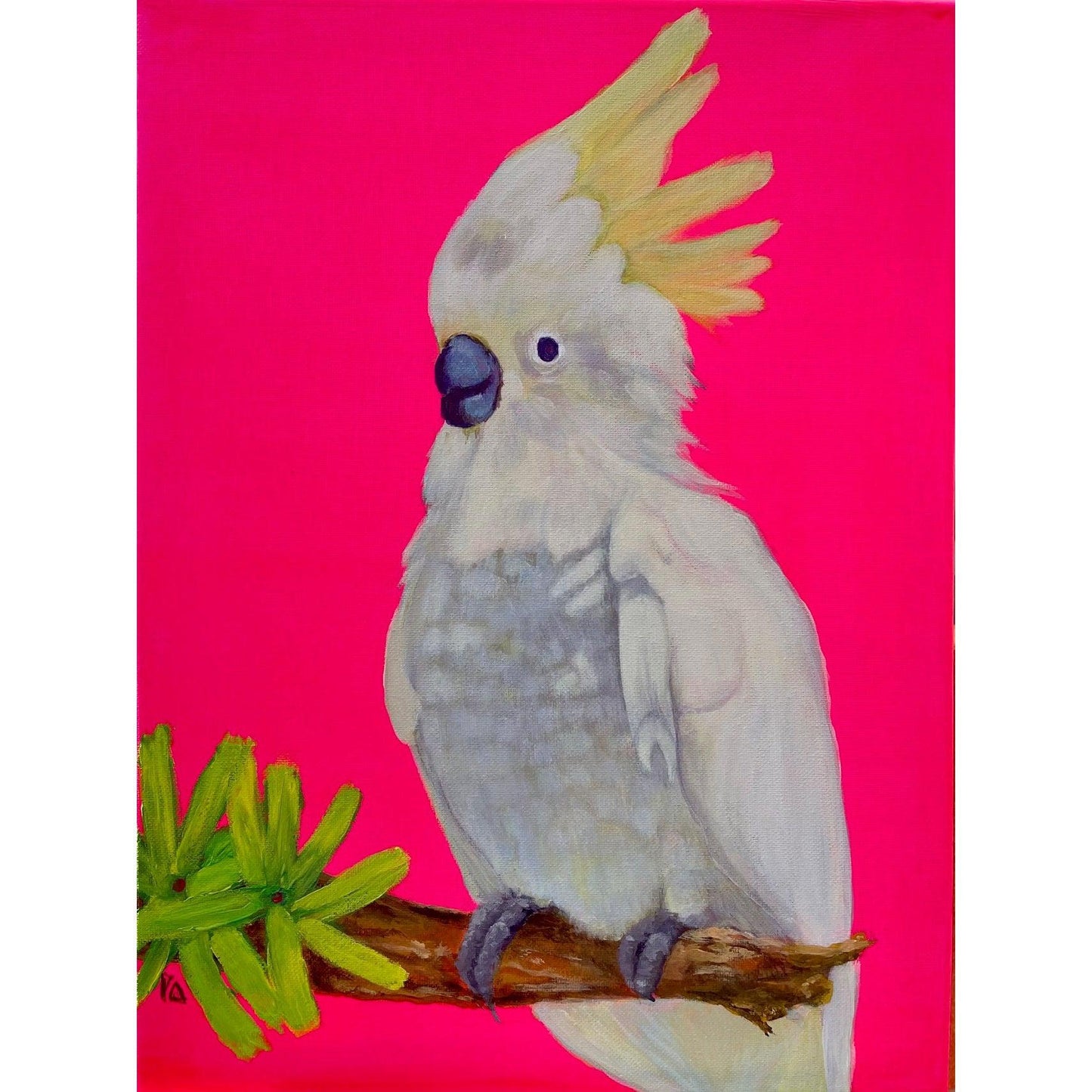 Colour pop parrot 1